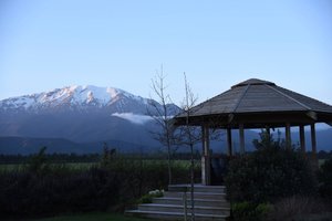 The Old Vicarage Bed and Breakfast in Mount Somers