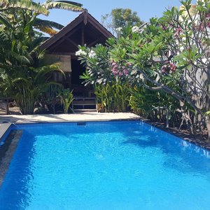Pool with one of the bungalows