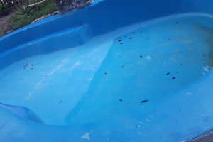 Piscina y playa