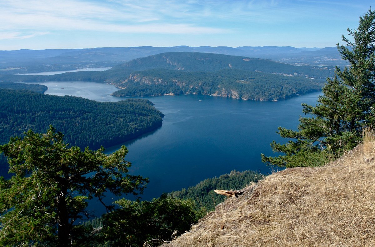 LES 10 MEILLEURS hôtels (avec prix) Salt Spring Island 2024