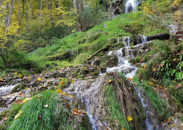im Herbst 2017