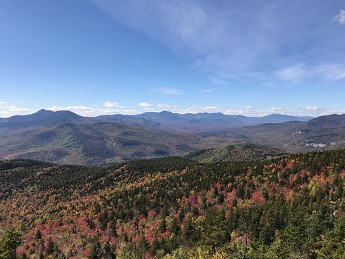 are dogs allowed hiking trails white mountains