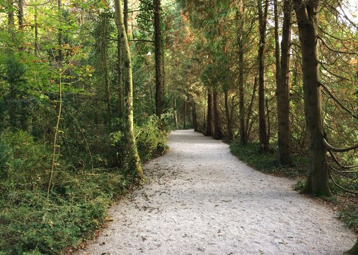 Pathway