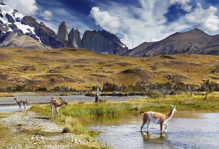 Turismo e viagem para Torres del Paine 2024 - Férias em Torres del