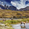 Things To Do in Full-Day Tour to Torres del Paine National Park from Puerto Natales(First Class), Restaurants in Full-Day Tour to Torres del Paine National Park from Puerto Natales(First Class)