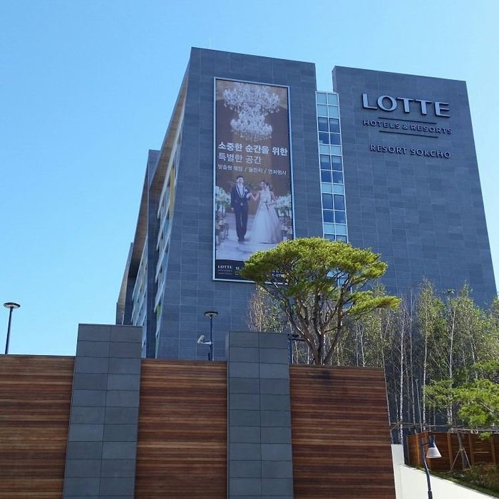 롯데리조트 속초 콘도 예약! 놓치면 후회할 Ctr 인기 숙소 추천
