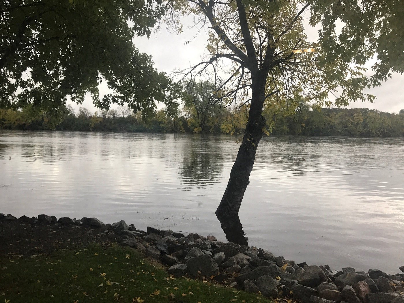 RIVER TERRACE PARK Campground Reviews (Monticello, MN)