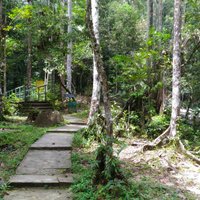 Hutan Lipur Sungai Bantang - All You Need to Know BEFORE You Go (2024)