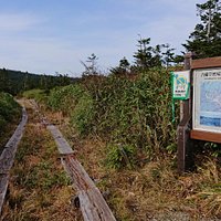 駐車場からこの道を歩いていきます