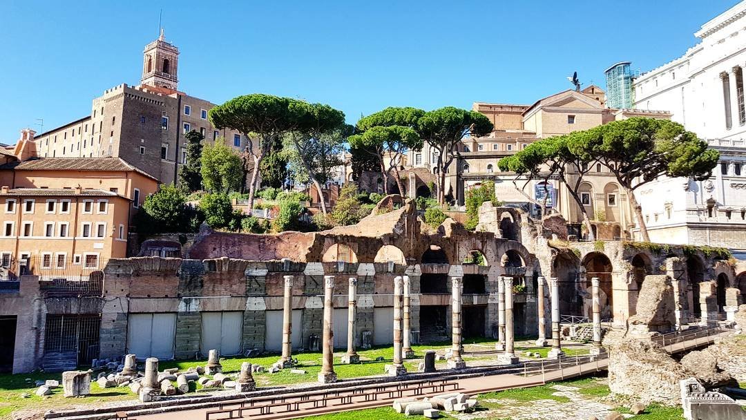 PALATINE HILL (2025) All You Need to Know BEFORE You Go (with Photos
