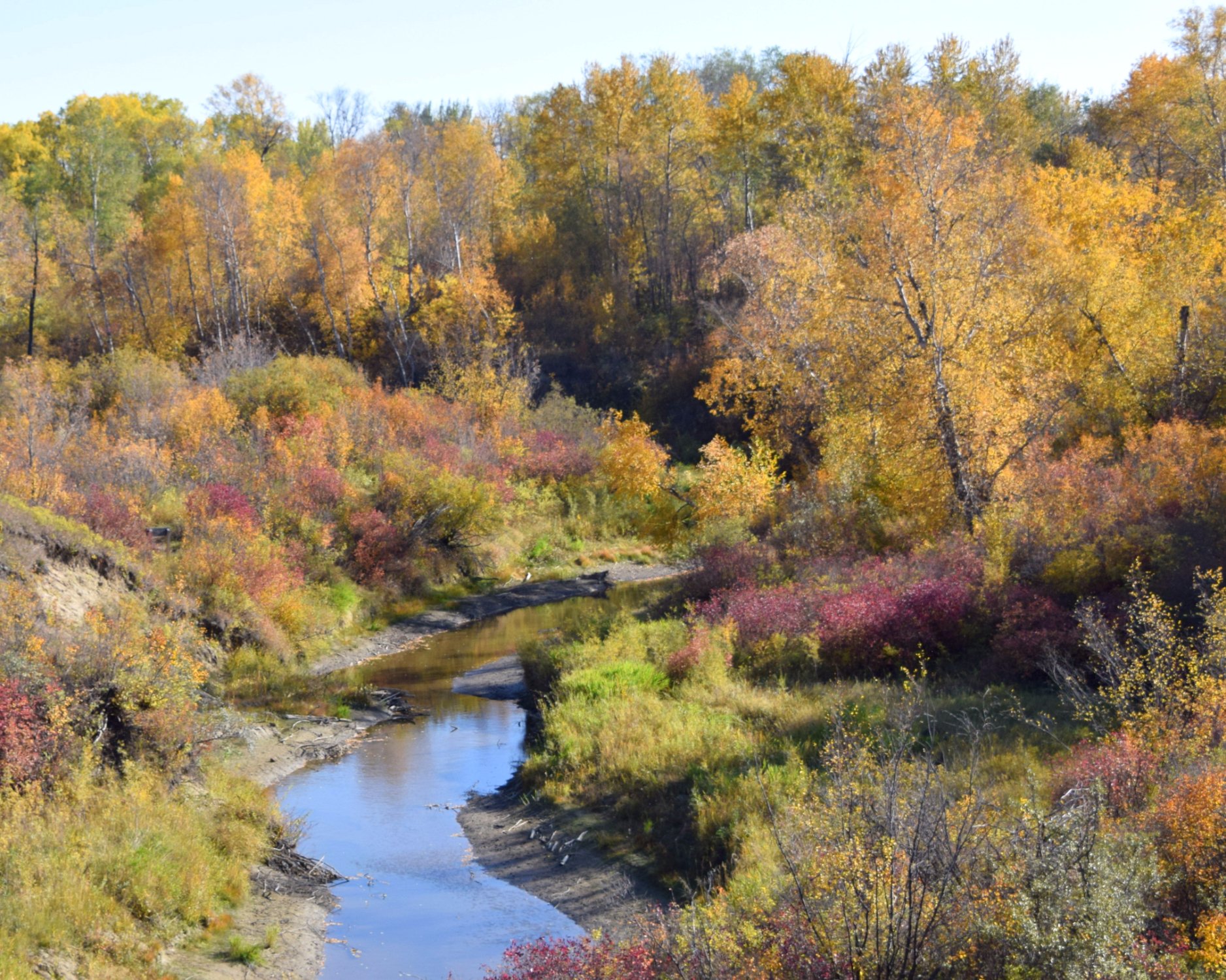 BEAVER CREEK CONSERVATION AREA Saskatoon Ce Qu Il Faut Savoir   Beaver Creek 