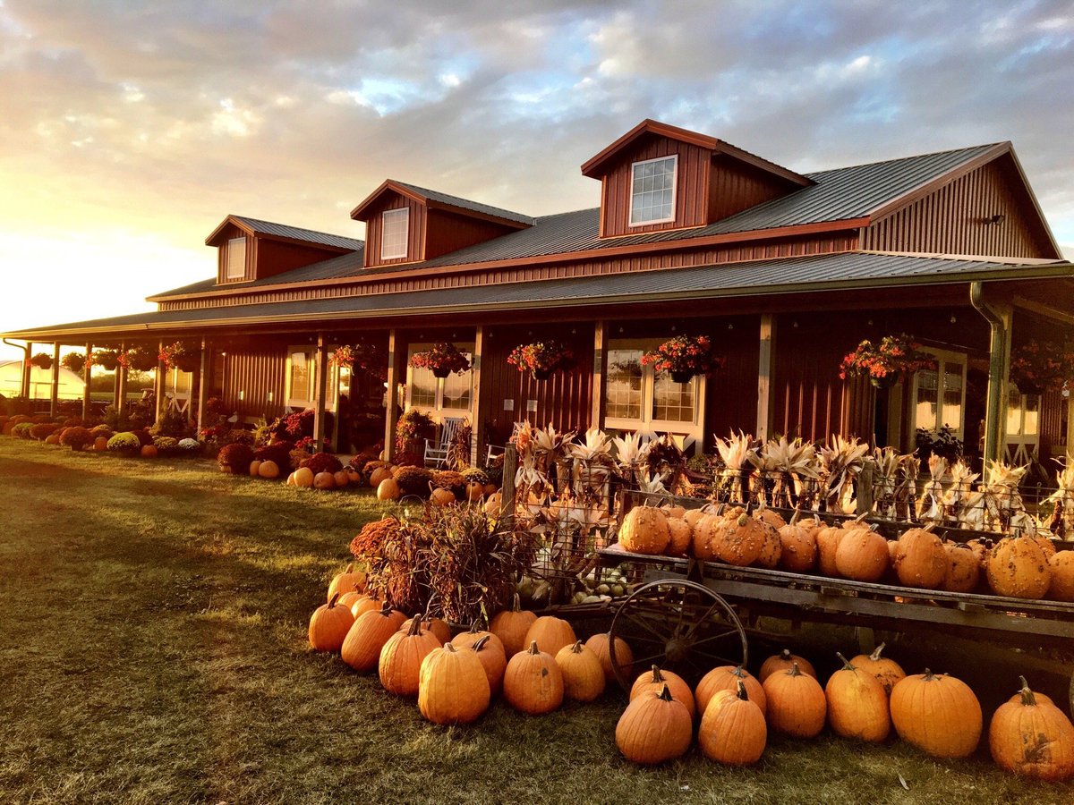 HARVESTVILLE FARM (Donnellson) Tutto quello che c'è da sapere