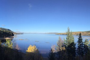 Resenär
