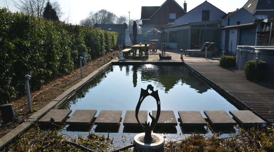 zwemvijver