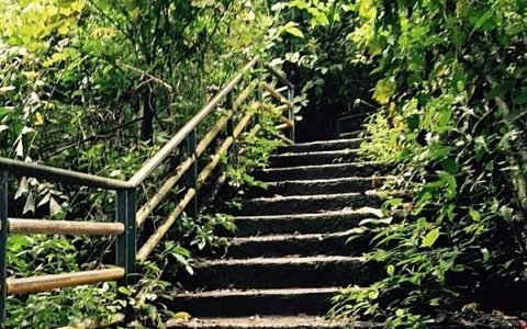 Staircase Taking you to the Spring