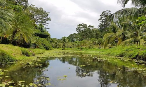 The tour of the sanctuary includes a boat ride in this creek, we saw some wildlife