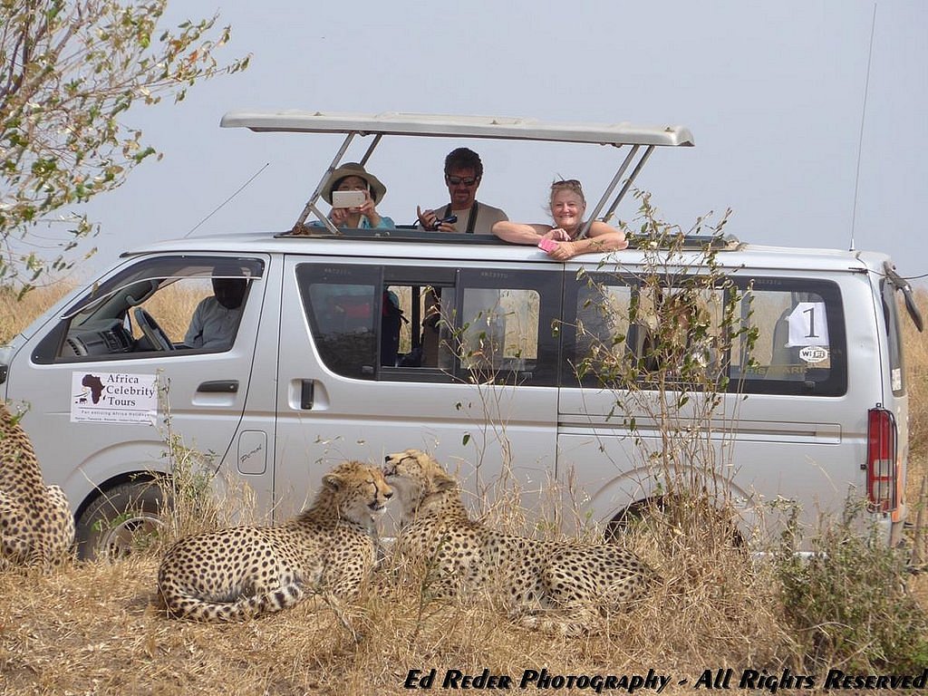 celebrity tours south africa