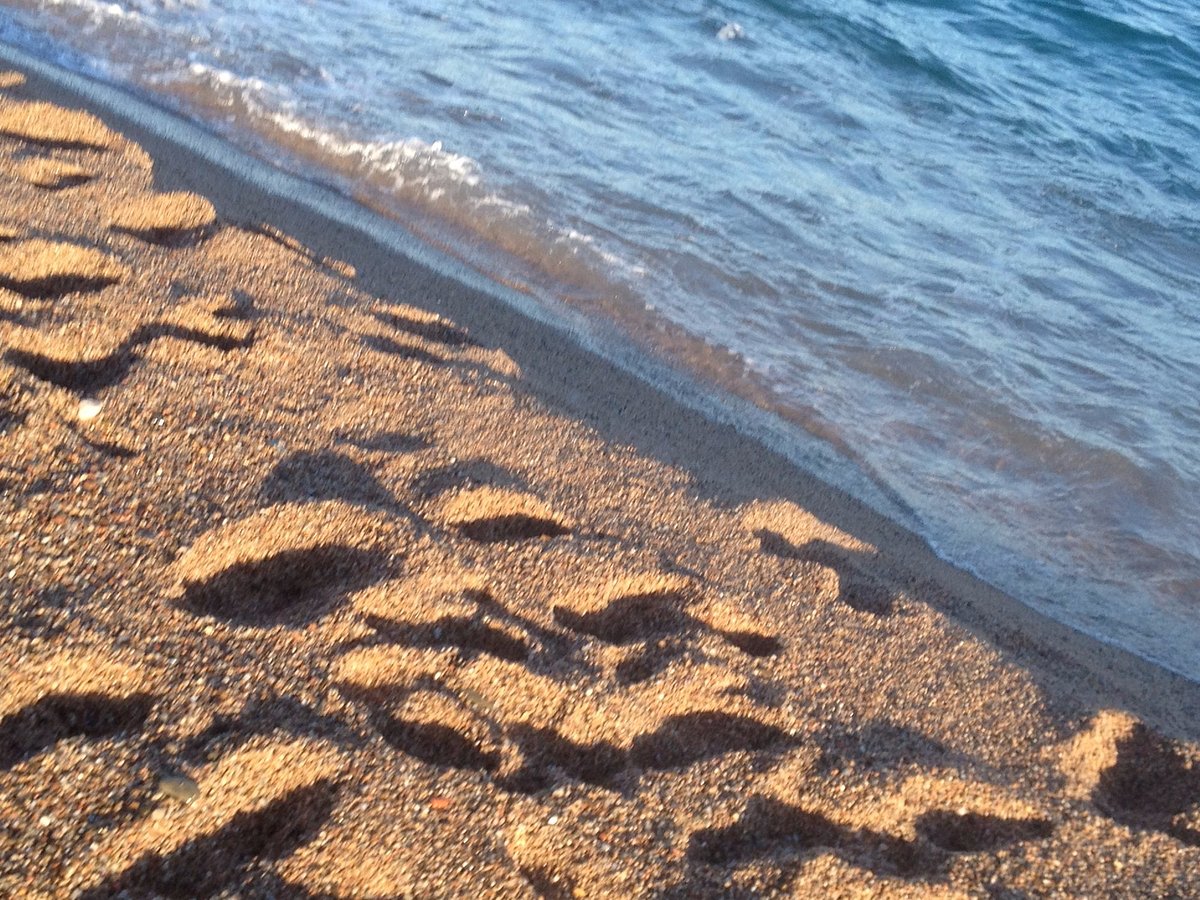 Qué tiempo hace en pineda de mar