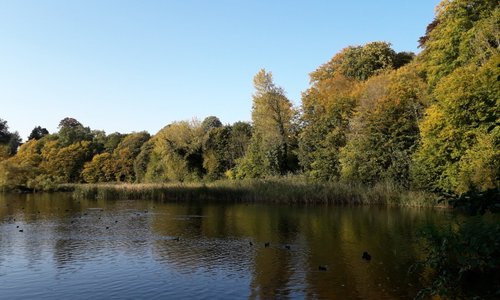 L'étang du côté Nord-Ouest
