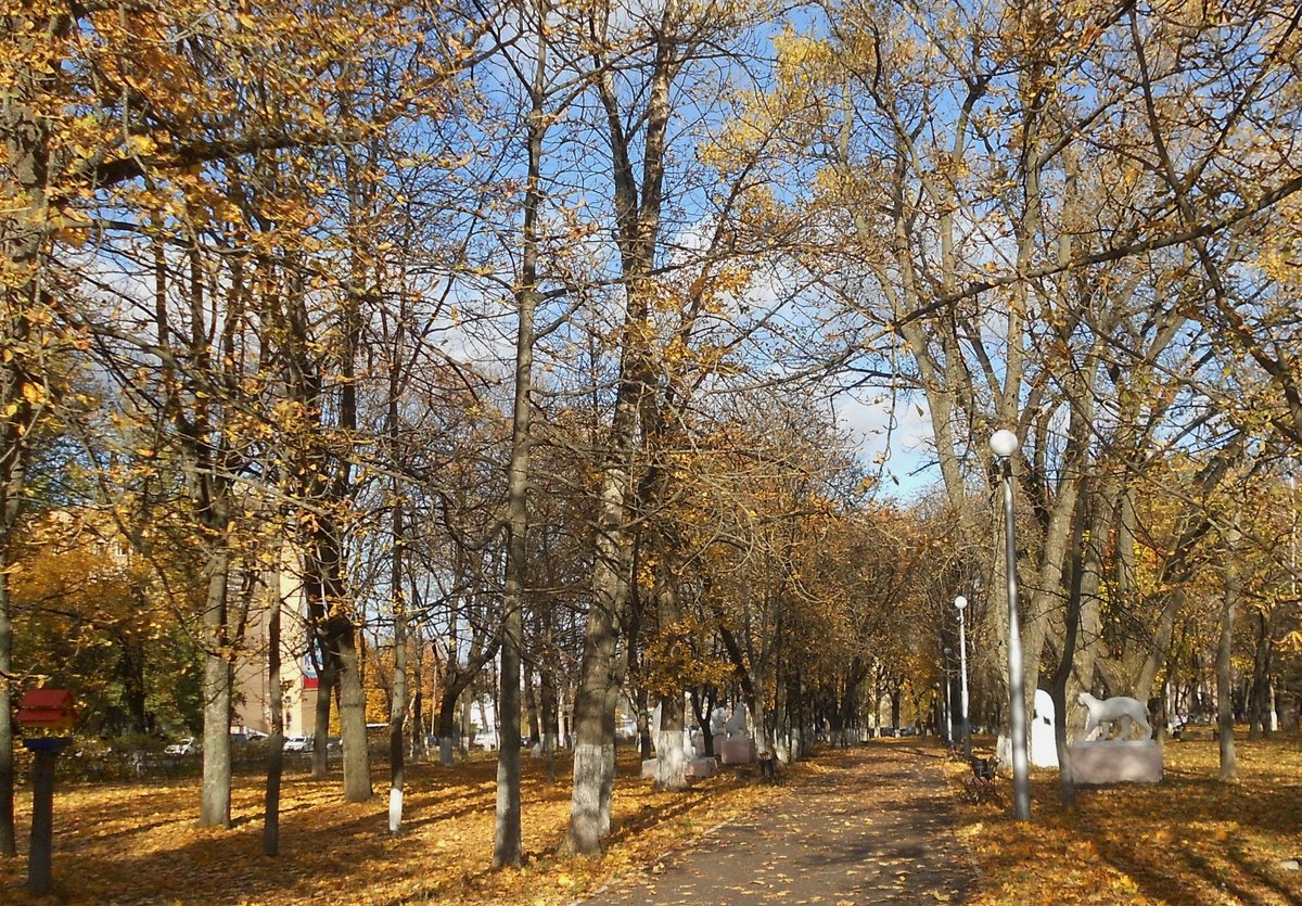 Детский парк, Курск: лучшие советы перед посещением - Tripadvisor