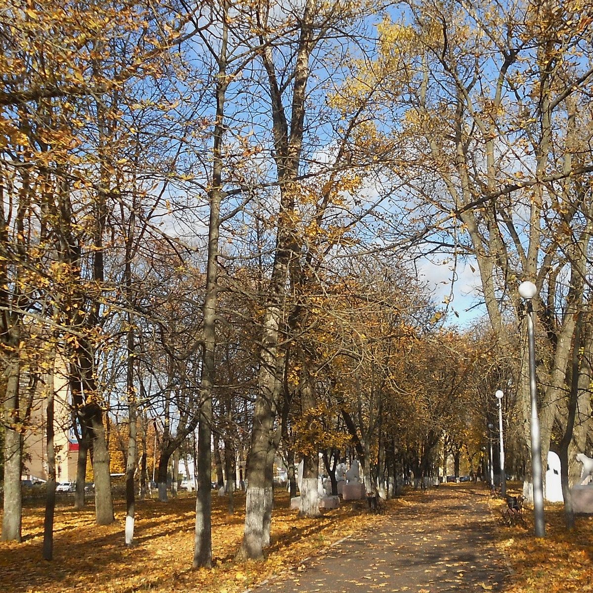 Детский парк, Курск: лучшие советы перед посещением - Tripadvisor