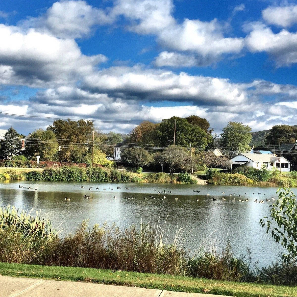 Sayre Pond Lohnt es sich? Aktuell für 2025 (Mit fotos)