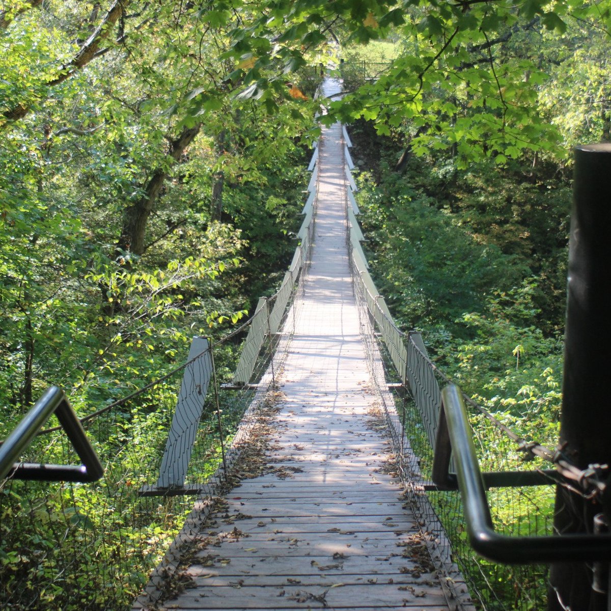 SWINGING BRIDGE (Columbus Junction) - All You Need to Know BEFORE You Go