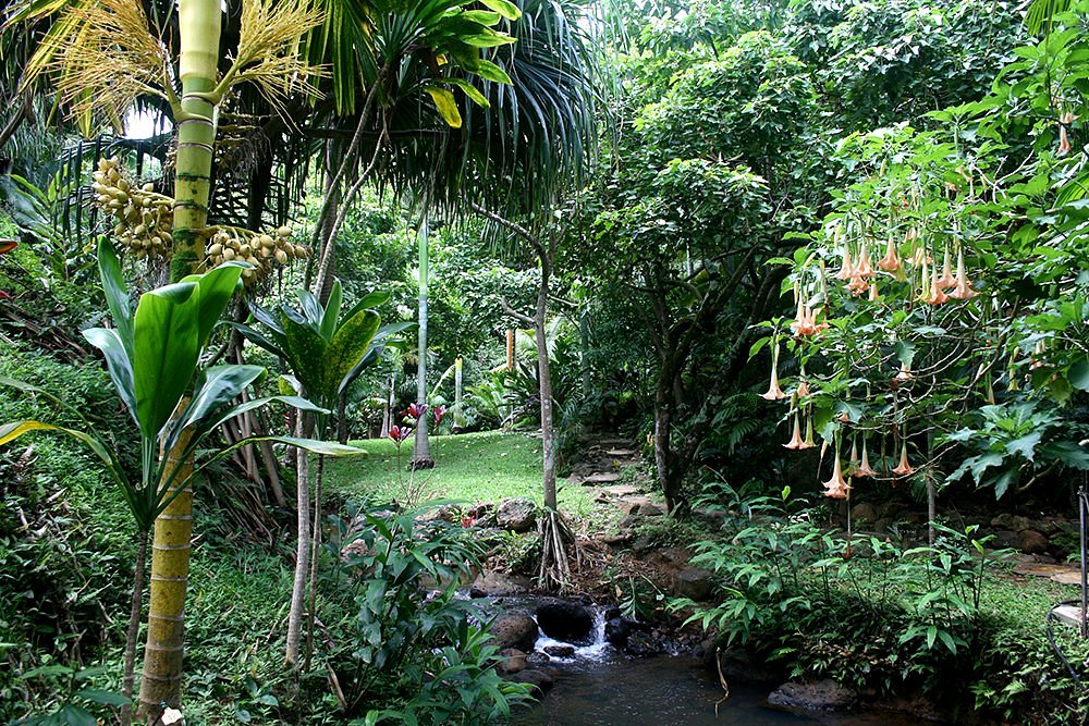 ogrody botaniczne princeville Luscious-creekside-rainforest