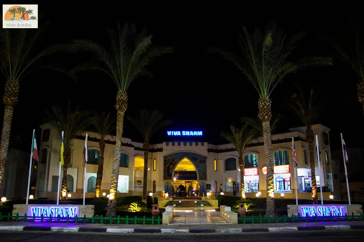 Отель Viva Sharm Hotel 3* / Египет / Шарм-Эль-Шейх - фото, туры в отель