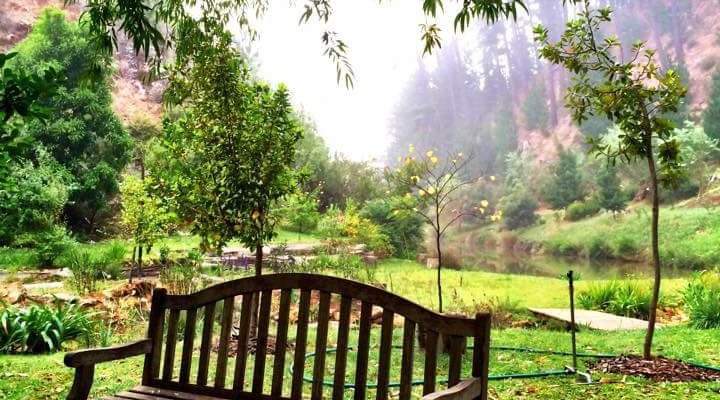 Picnic area at Oneiric