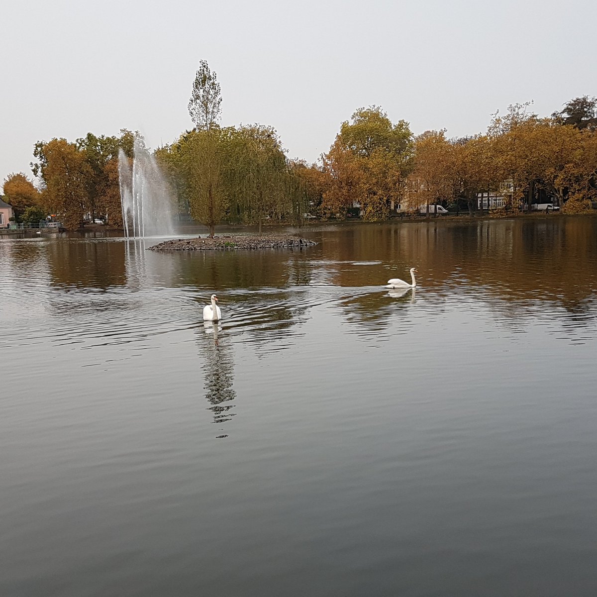 Museum für Europäische Gartenkunst, Дюссельдорф: лучшие советы перед  посещением - Tripadvisor