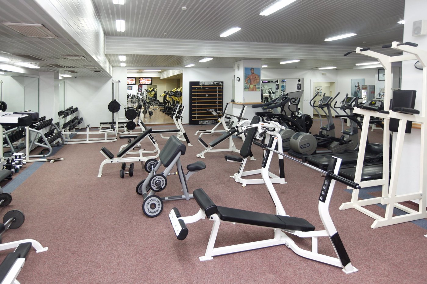 Hotel Aleksandar Palace Gym: Pictures & Reviews - Tripadvisor