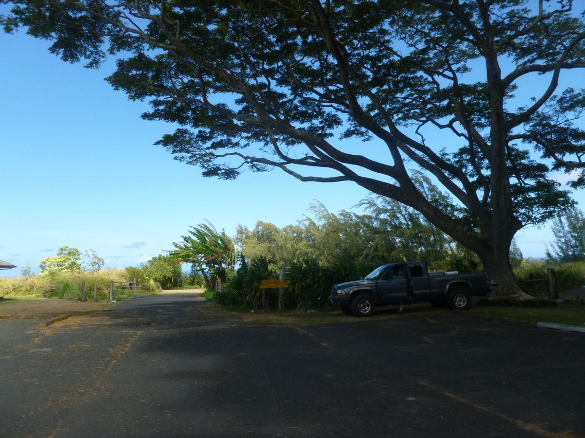 Kapaʻau Shopping Spree: Where to Park Your Wheels