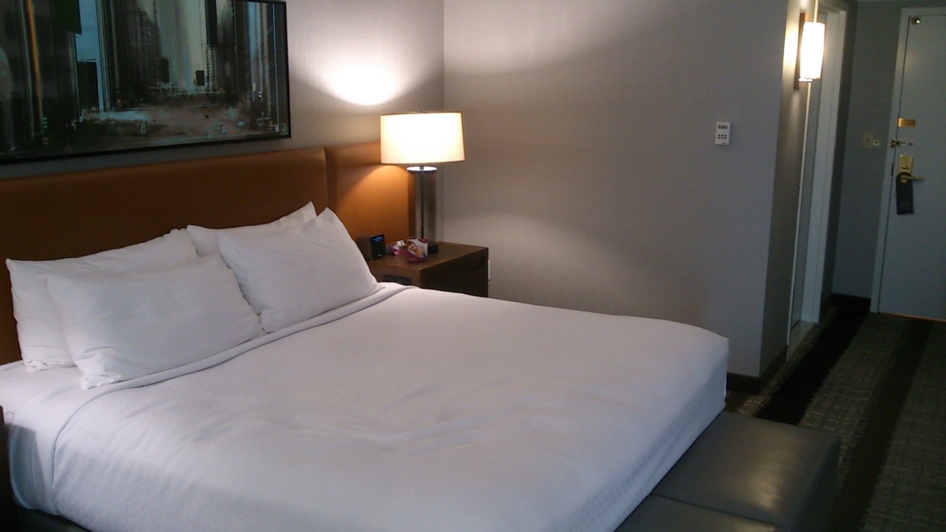 Hotel photo 94 of Crowne Plaza Dulles Airport, an IHG hotel.