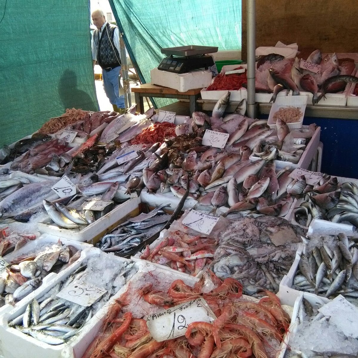 Mercato del Pesce di Trapani, Трапани: лучшие советы перед посещением -  Tripadvisor