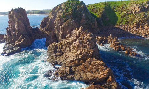 Wild Bass Coast