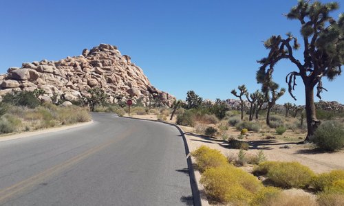 Road to Palm Springs