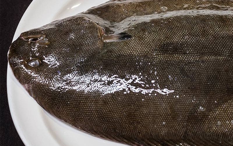 Pescados