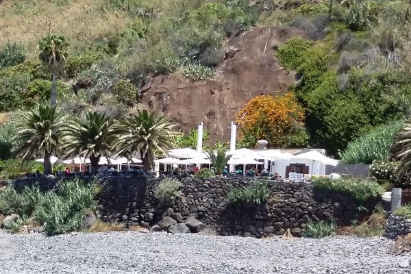 THE 10 BEST Restaurants in Camara De Lobos (Updated July 2024)