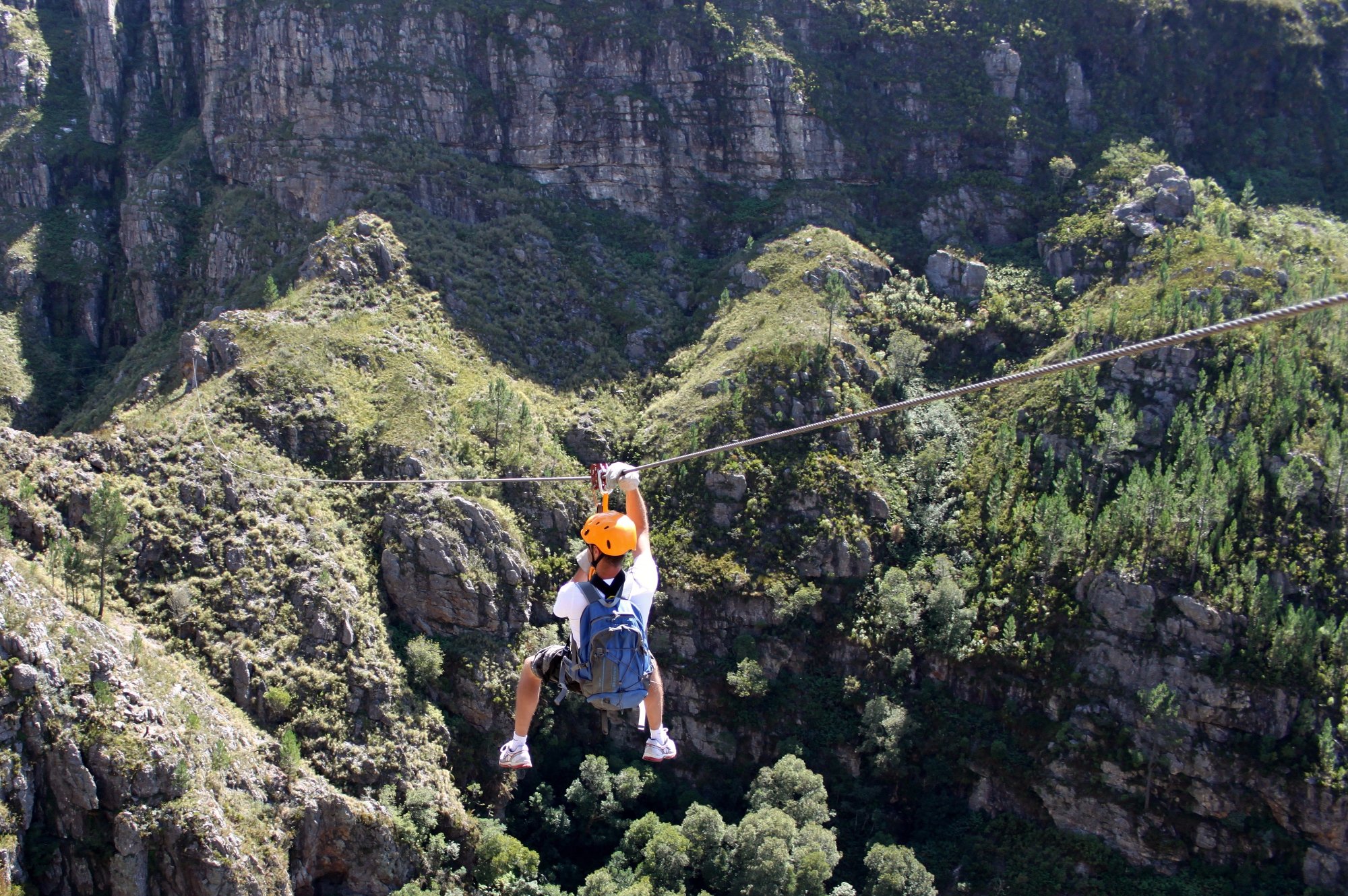 cape canopy elgin