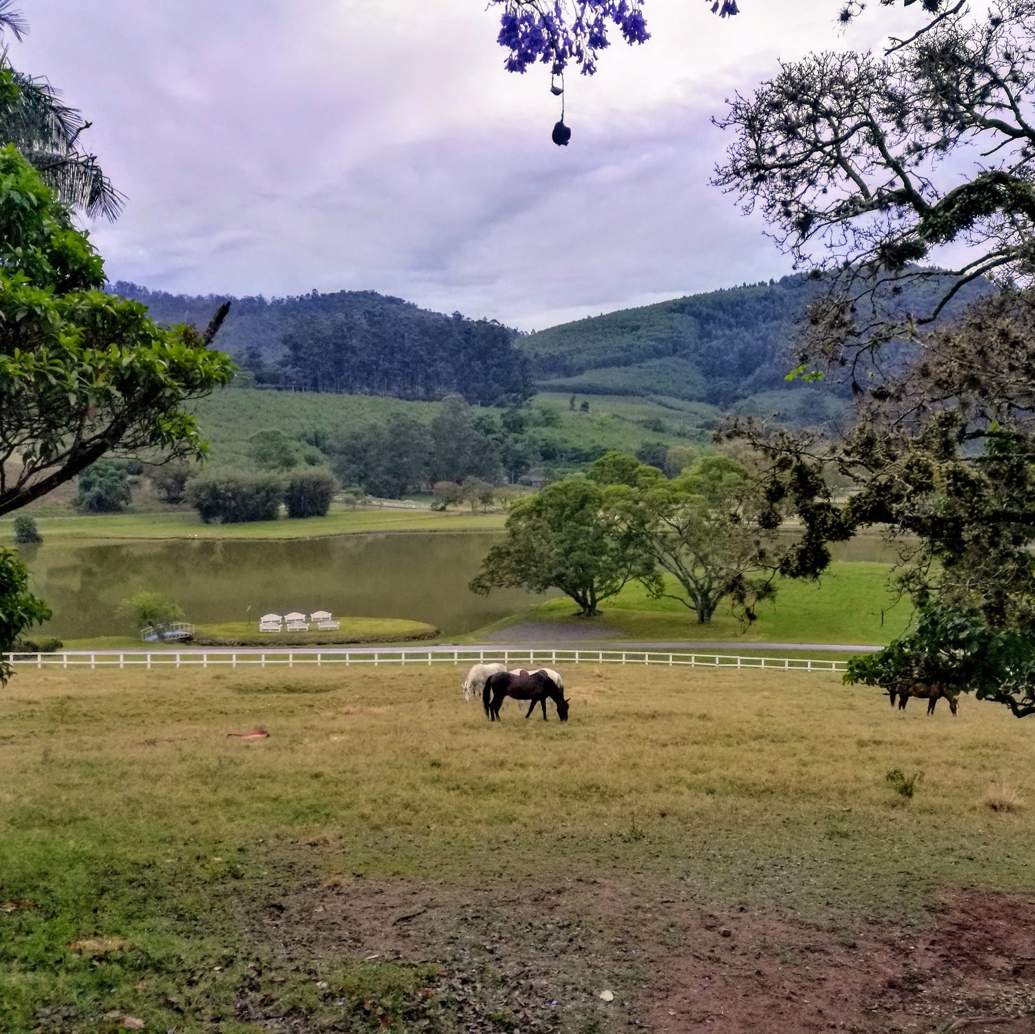 ESPA O TERROIR DE BRAGAN A Villa Reviews Braganca Paulista Brazil