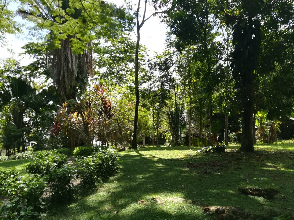 Hotel photo 9 of Tortugal Boutique River Lodge.