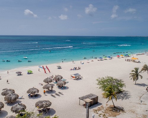 MVC EAGLE BEACH - Updated 2024 Prices & Hotel Reviews (Aruba/Palm ...