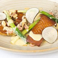 Plaice