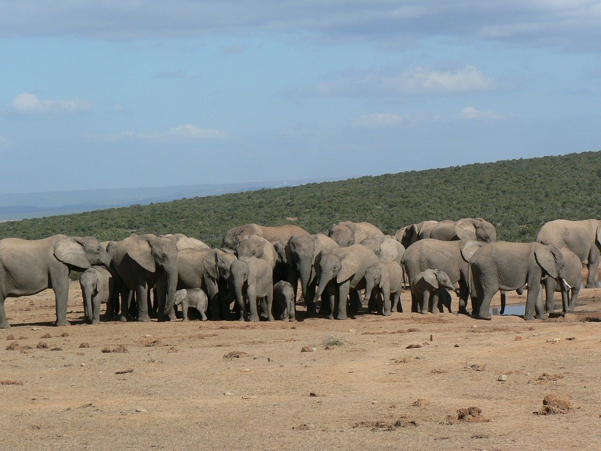 southern circle tours & safaris