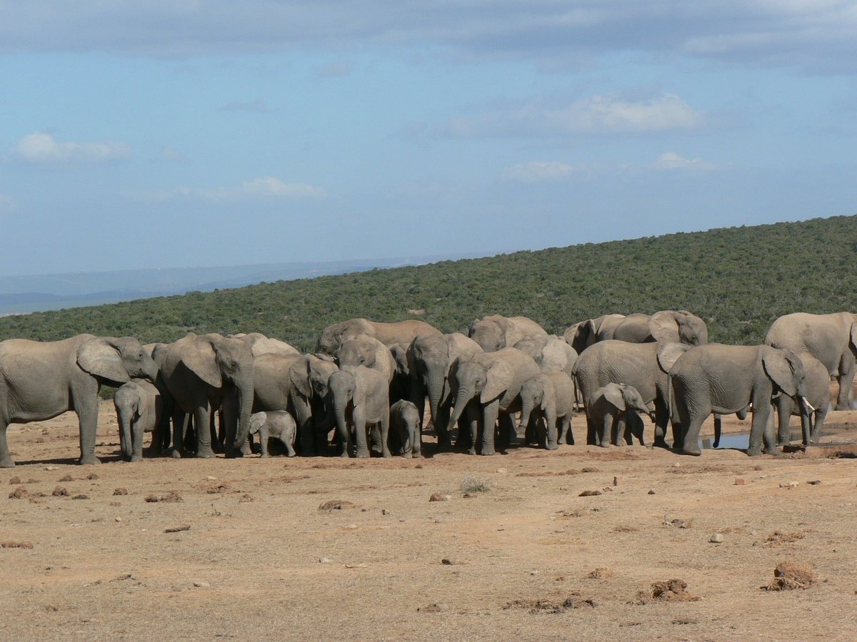 Southern Circle Tours & Safaris - All You Need to Know BEFORE You Go (2024)