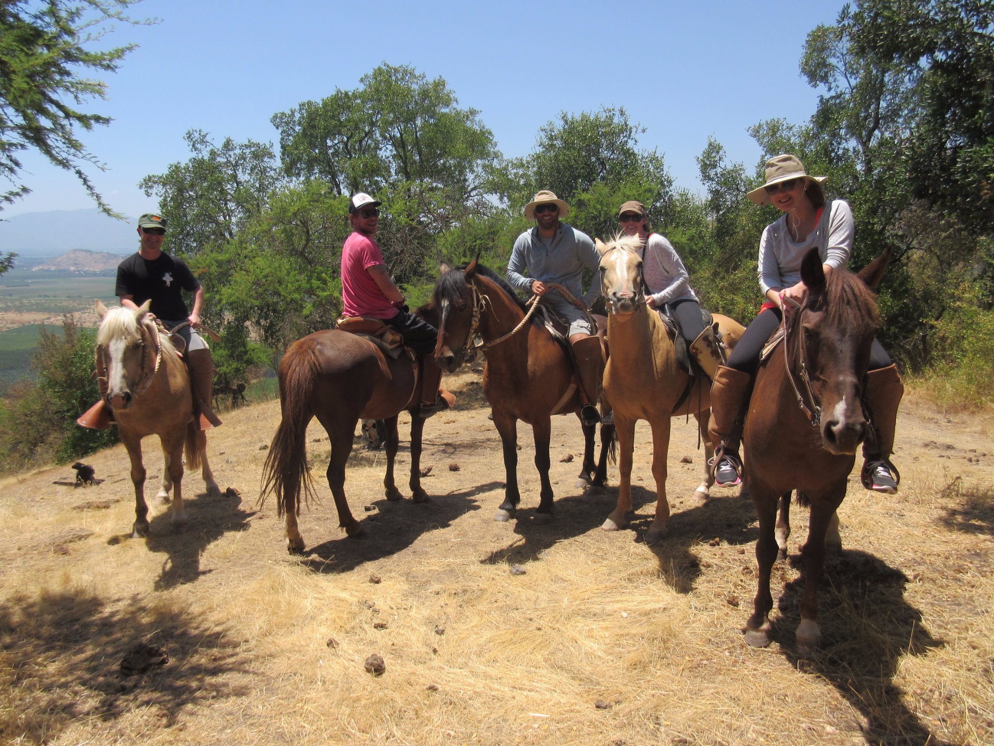 Horseback Rides Santa Cruz All You Need to Know BEFORE You Go 2024