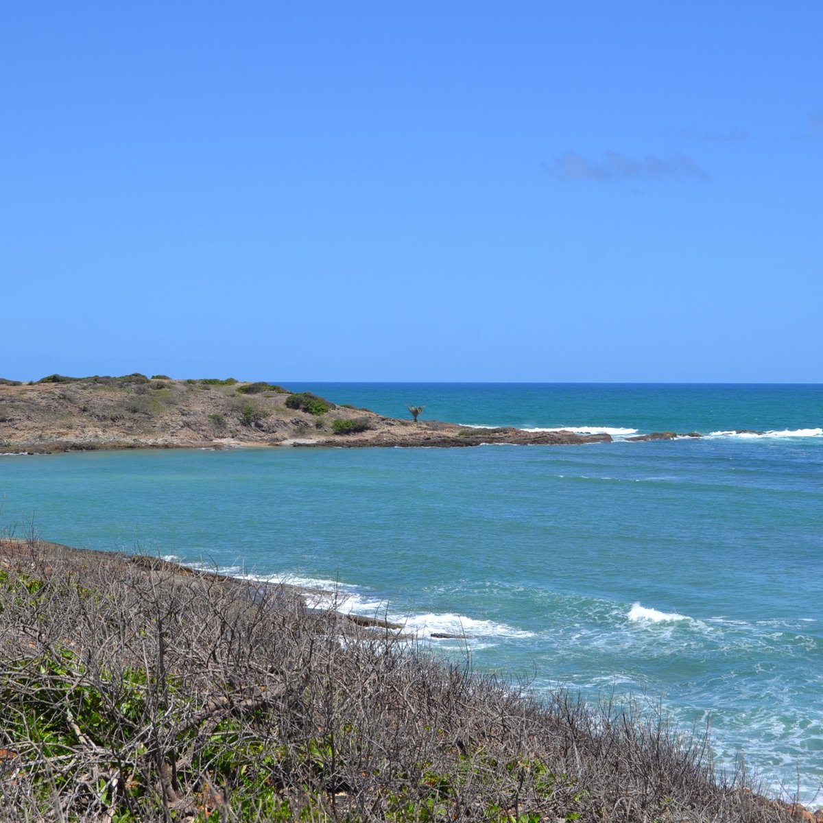 Lup Beach Club: Passeio Ilha de Santo Aleixo + Day Use (Com transfer) -  Porto de Galinhas