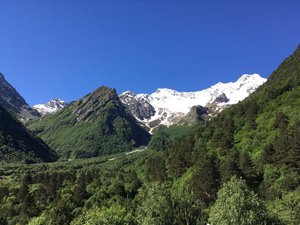 Номера и люксы