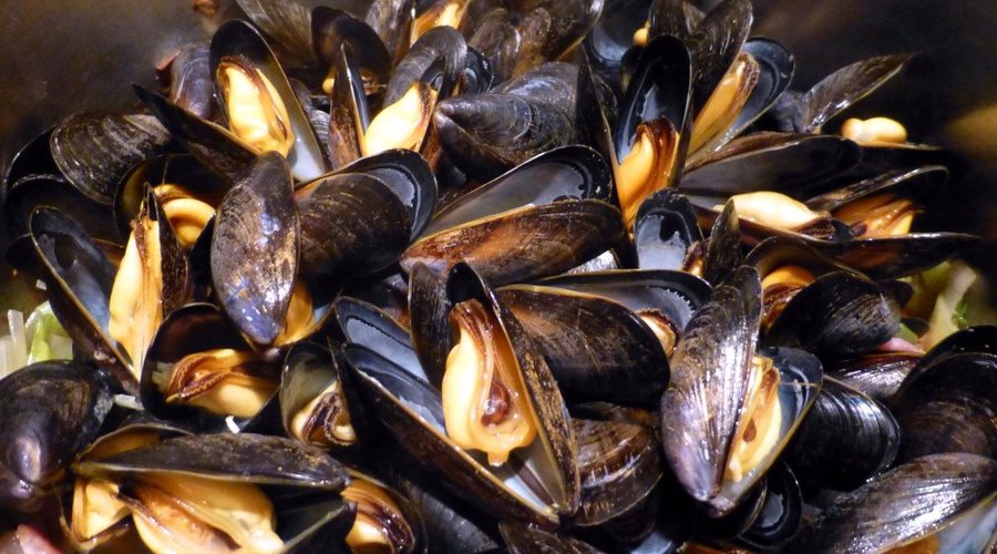 Mussels